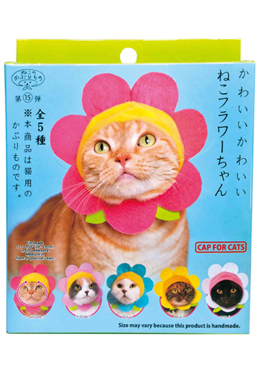 Cat Cap Flower kc-051 Blind Box 03268