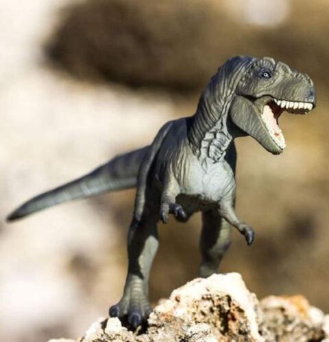 Prehistoric -Tyrannosaurus Rex 100423 Safari LTD 04569