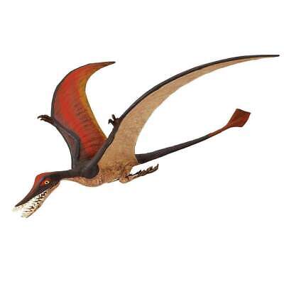 Prehistoric - Rhamphorhynchus 300329 Safari LTD 0302