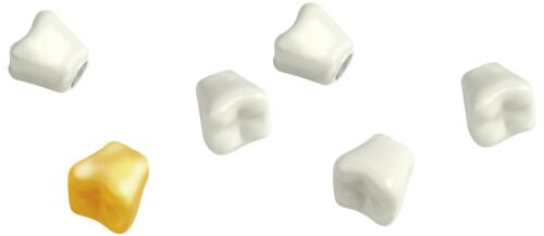 Kikkerland Teeth Magnets, Set of 6 54448