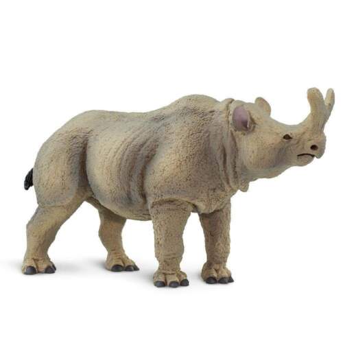 Prehistoric - Megacerops 100084 Safari LTD 02060