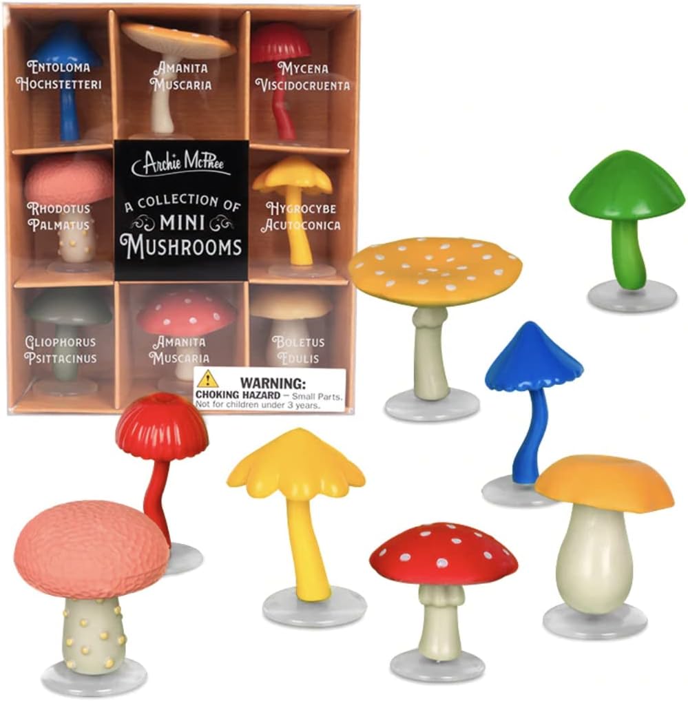 A Collection of Mini Mushrooms Novelty Gift Accoutrements 29960