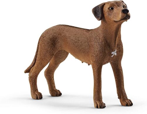 Farm World 13895 Rhodesian Ridgeback Schleich 07229