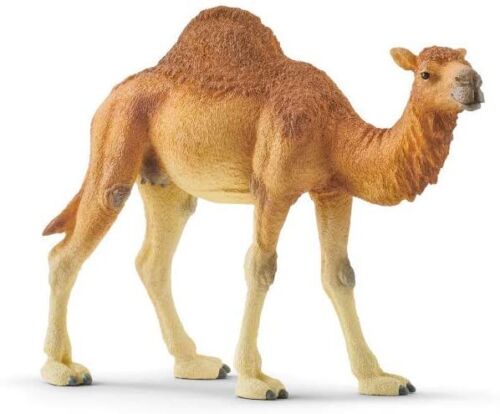 Wild Life 14832 Dromedary figure Schleich 39718