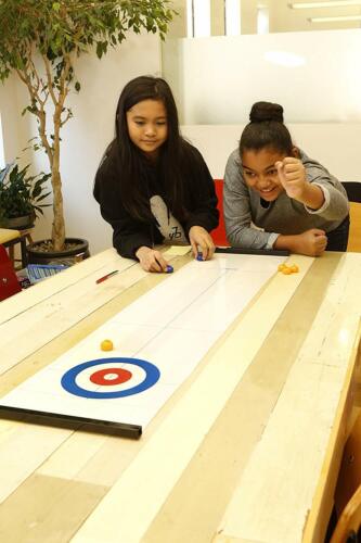 Table Top Curling Game Kikkerland 90613