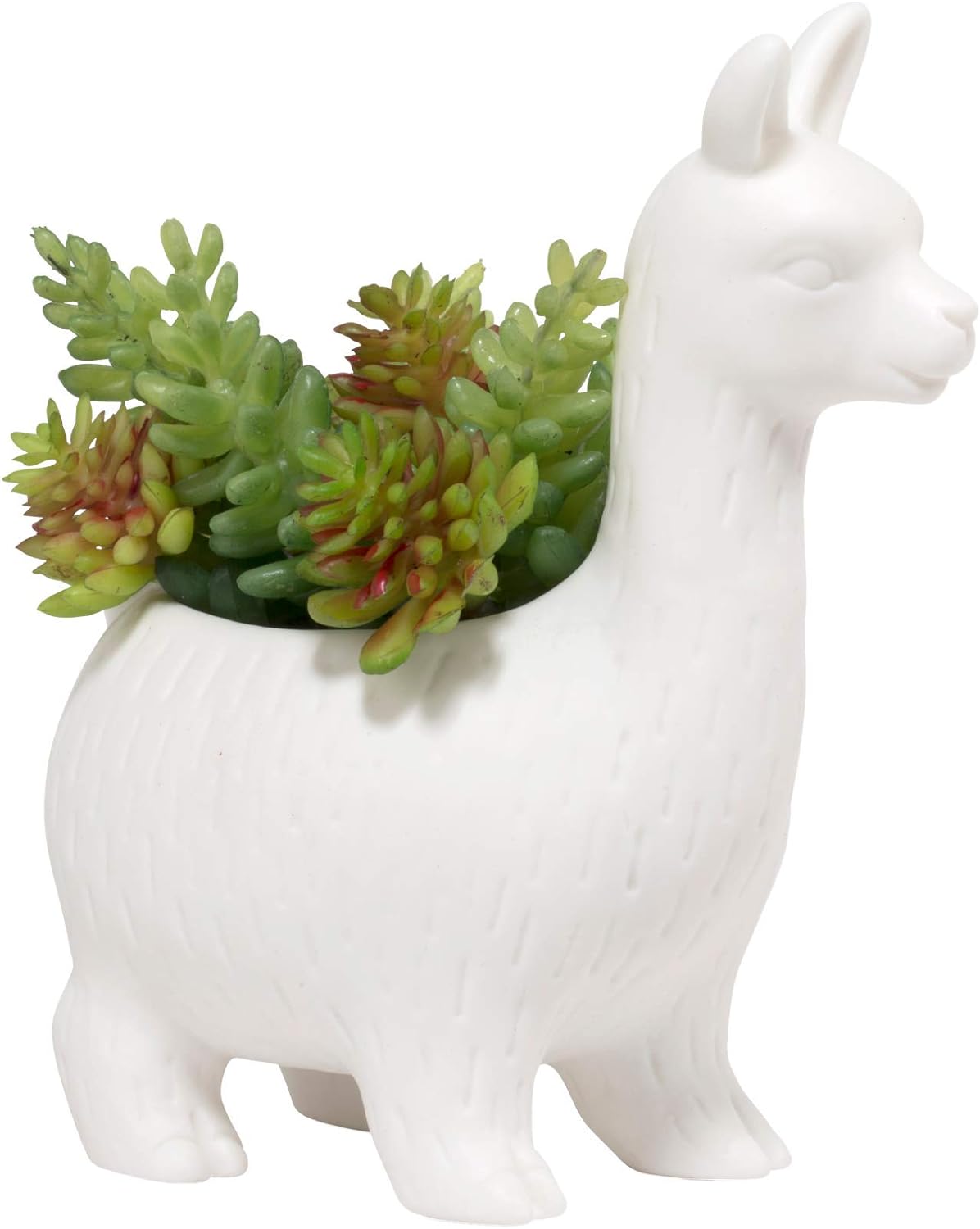 Lloyd the Planta Planter Kikkerland 93485