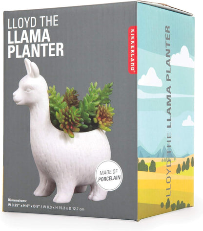 Lloyd the Planta Planter Kikkerland 93485